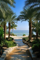 Fototapeta premium Beautiful beach and sea with palm trees. Selective focus.