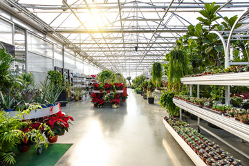 A beautiful space with flowers and green plants decorations