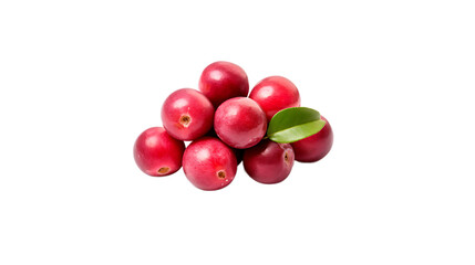 Fresh Red Cranberries Cluster Juicy Berries Healthy Food Ingredient Vitamin Rich Organic Natural    