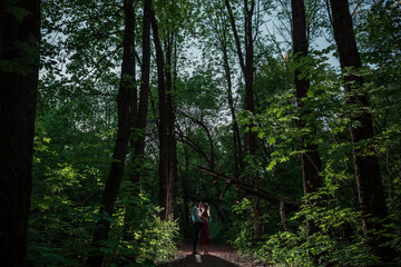 Silhouettes of a couple in love standing opposite each other, against the backdrop of the forest, night, love, love story, Valentine's Day.