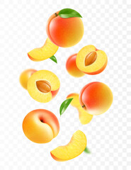 Flying ripe apricot. Bright advertising background falling juicy sweet peach, realistic illustration with blurred effect. 3d vector design for advertising banners and web page design
