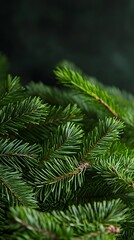 background with tree