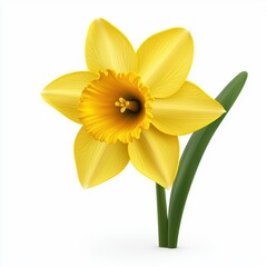Obraz premium 3D icon cartoon of a daffodil flower with a bright yellow center, isolated on a white background 