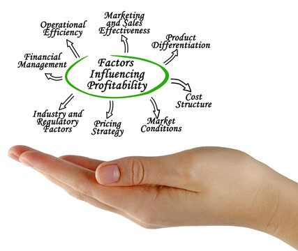 Presenting Eight Factors Influencing Profitability
