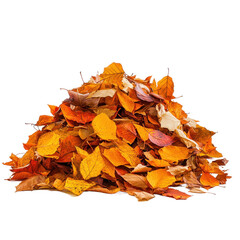 Colorful pile of autumn leaves collected and displayed on a Transparent background, Pile autumn leaves isolated on PNG background