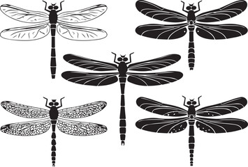 Set dragonflies. Hand drawn vector illustration