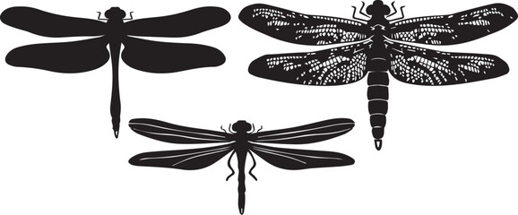 Set dragonflies. Hand drawn vector illustration