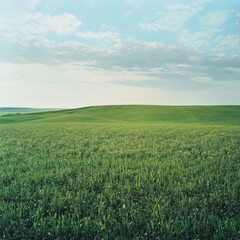 Obraz premium Expansive green field under a bright sky with clouds in the distance during a sunny day in the countryside. Generative AI