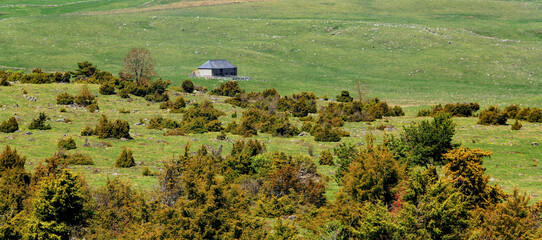 paysage auvergnat © Jacky Jeannet