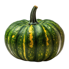 Green pumpkin with stripes isolated on a white background perfect for autumn decorations and culinary uses, Green pumpkin isolated on the white background