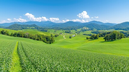 Fototapeta premium Rolling hills farmland, sunny day, mountain view, rural landscape, agricultural scene