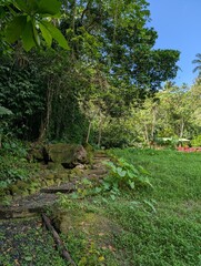 A path in the jungle in Sainte Lucia - January 2025