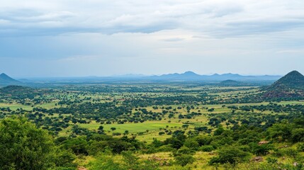 Serene African Landscape Under a Cloudy Sky