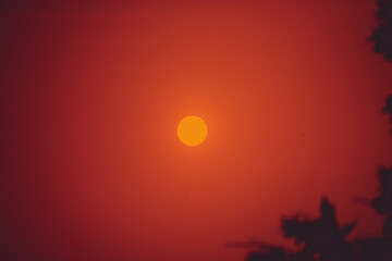 Red sun during wildfires