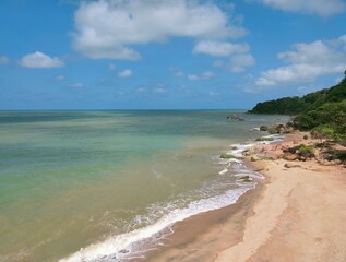 beach with trees waves, wave, nature