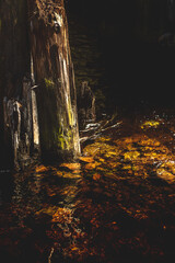 water flowing past an old pole