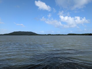 A mangrove in Martinique, France - January 2025