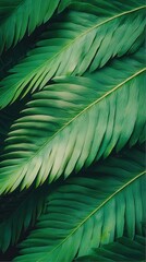 Extreme closeup of lush green fern leaf fronds nature crisp details vibrant mood natural environment