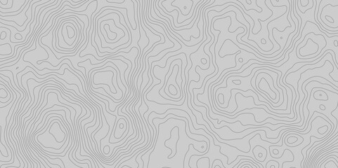 The white on grey contours vector topography stylized height of the lines. The concept of a conditional geography scheme and the terrain path. Ultra wide. Map vector terrain Illustration. 
