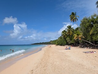 Les Salines beach in Martinique, France - January 2025