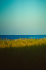 grass and blue sky splitting the ocean 