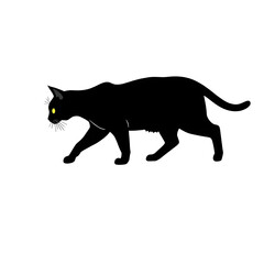Obraz premium A cat pet animal detailed graphic Walking Cat Silhouette 