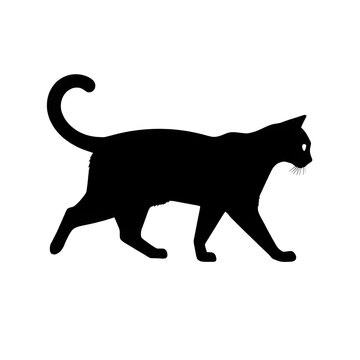 recommend clip art: A cat pet animal detailed graphic Walking Cat Silhouette 