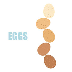 Vector illustration of various chicken eggs Infographic illustration of food products from poultry farms, isolated, nutritious, healthy food. Food menu. Cooking is isolated on a white background.