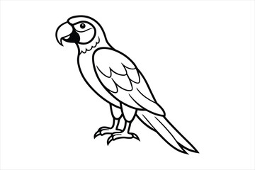 Fototapeta premium parrot on a white background