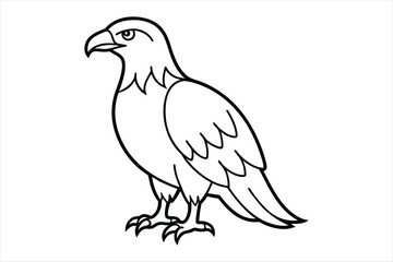 illustration of a bird