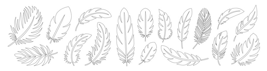 Feather silhouette set vector illustration. Elegant, tenderness, lightness symbol