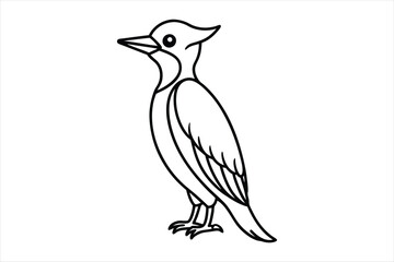 illustration of a bird