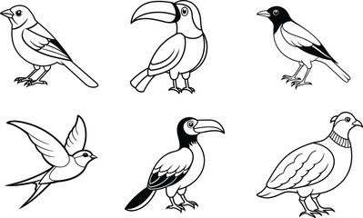 set of birds isolated 