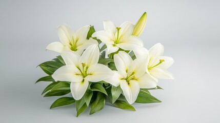 Fototapeta premium Elegant Subtle watercolor artwork of white lilies in bloom framed by soft green leaves with a faint cross delicately blending into the pale pastel background 