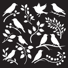 Collection of Bird Silhouettes in Various Poses with Branches and Leaves – Elegant Minimalist birds silhouette Design
