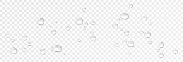 Realistic water drops on a transparent background, condensation on the surface with light reflection and shadow, vector, png, 3D effect.