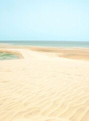 Boundless Beauty: Dunes and Sea in Perfect Harmony