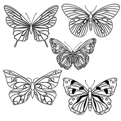 Line art butterfly, Layout for printing illustrations on T-shirts, notepads, covers