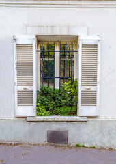 Multicolored Leaf Texture Background – Ecoprint Natural Pattern in High-Resolution