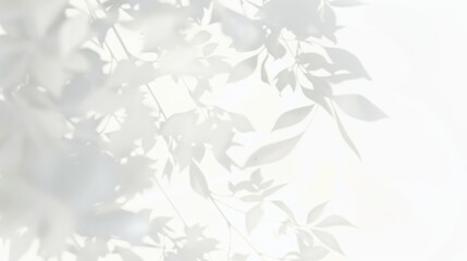 Delicate shadow effect of leaves and branches, blurred on a plain white background. Abstract nature-inspired design with space for text
