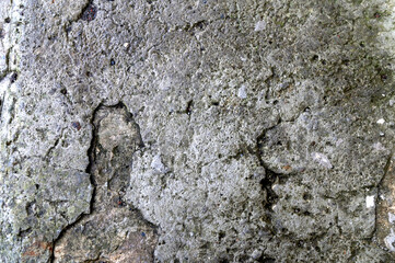 Texture of grunge wall surface