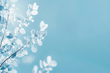 Thin tree branches with blue leaves highlighted on blue background, summer atmosphere, space for text