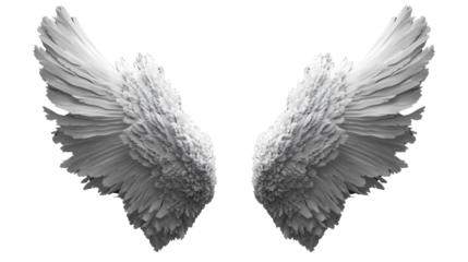 a White angelic wings spread out isolated on a transparent background