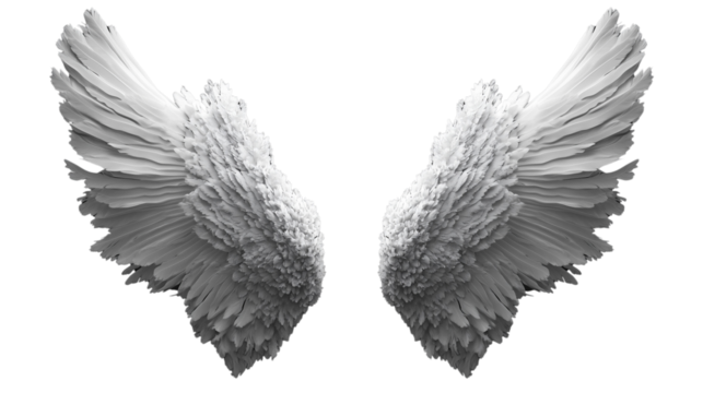 a White angelic wings spread out isolated on a transparent background