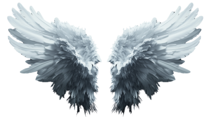 a White angelic wings spread out isolated on a transparent background