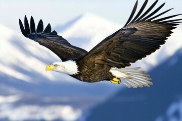 Obraz premium Majestic Bald Eagle Soaring Through Snowy Mountains