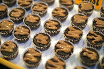 chocolate cupcakes with icing