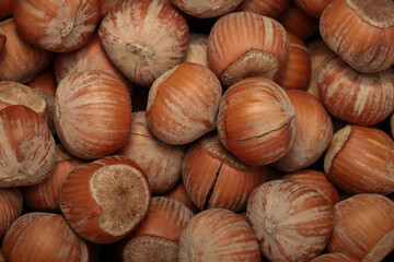A close-up of forest hazelnuts, showing the textured shells and intricate details of the nuts. The hazelnuts are nestled in their soft, green husks, with fine, natural fibers and leaves surrounding th
