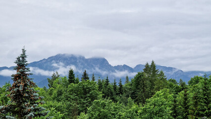 A stunning view of the Tatra Mountains, with towering peaks, lush green valleys, and crystal-clear lakes. The breathtaking landscape is framed by rocky ridges and covered in vibrant alpine flora under