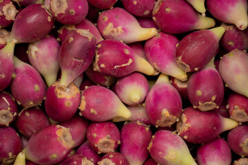 A close-up of cactus fruits, showcasing their vibrant colors and textured skin. The spines and natural details of the fruit contrast with the surrounding cactus plant and desert landscape